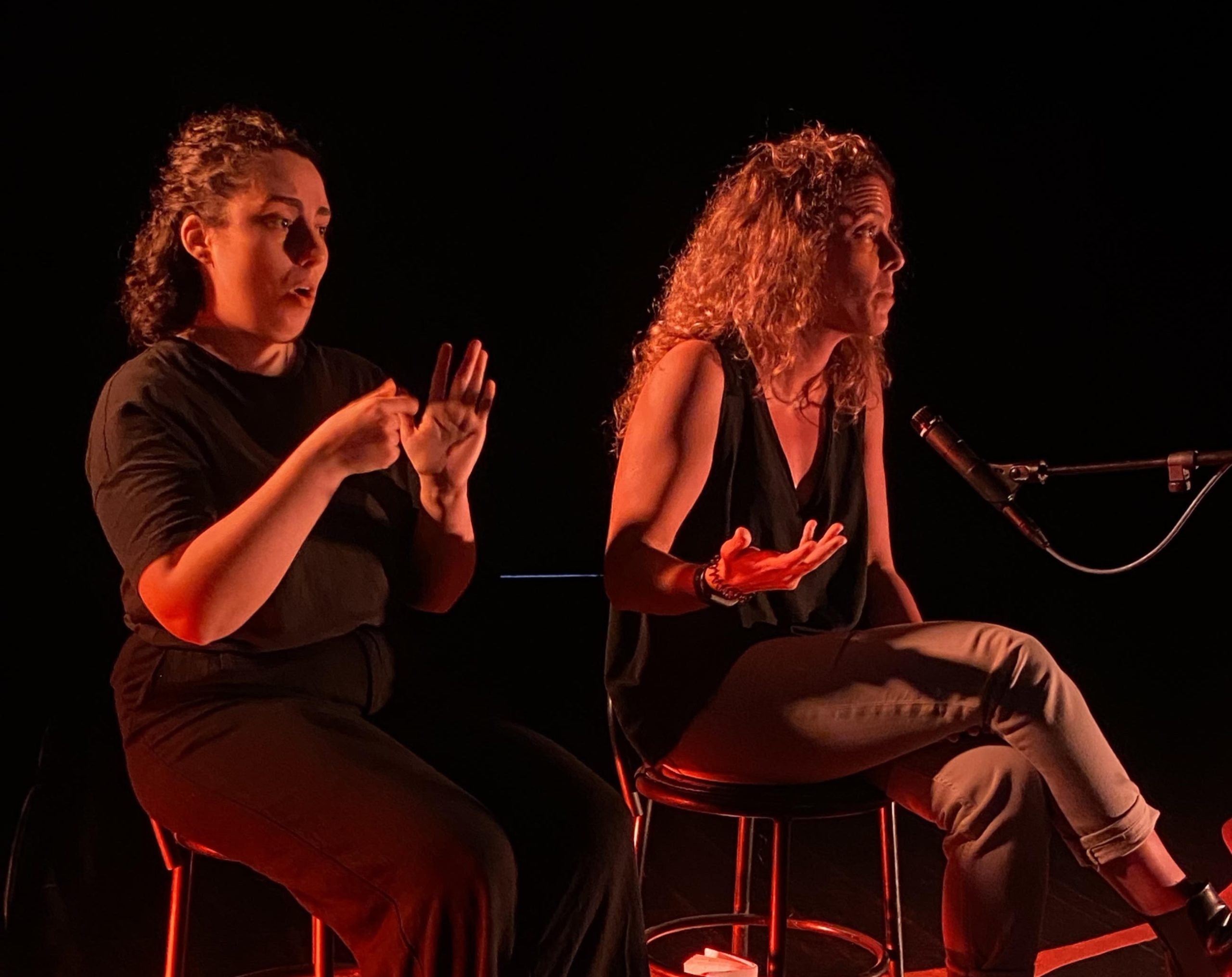Palco Impacto Ciclo de Conversas Sera o nosso territorio inclusivo Joana Abreu Gorgueira Fundacao Salvador