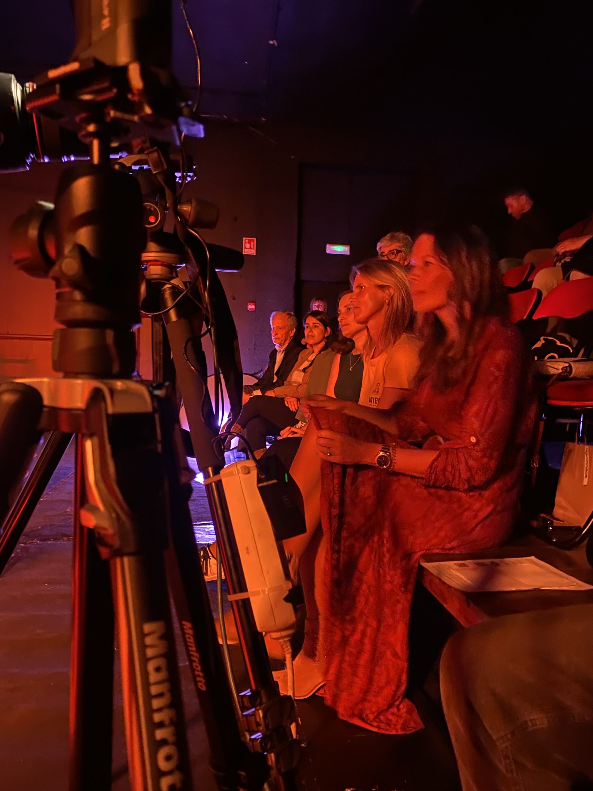 Palco Impacto Ciclo de Conversas no Teatro da Comuna — Sementes da Mudanca. Inclusao e o papel da educacao — Curadoria Grupo AGEAS Portugal